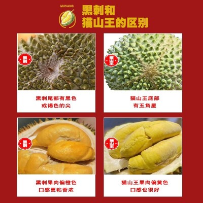 黑刺新鲜D200一整个马来西亚进口液氮冷冻正宗批发旗舰壳水果榴莲图2