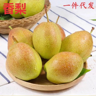 红香酥梨新鲜水果10斤库尔勒香梨特新级梨母梨当季整箱冰糖梨包邮图2