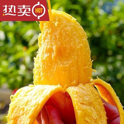 云南鹰嘴芒芒果新鲜10斤整箱黄皮当季热带水果特大非大青贵妃金煌图2