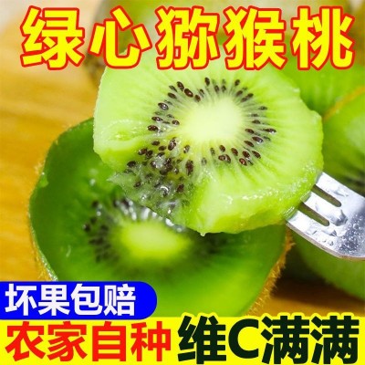 正宗绿心猕猴桃9斤水果奇异果新鲜当季孕妇水果弥猴桃非徐香红心5图3