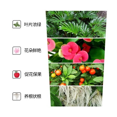 家庭安全无异味园艺肥料羊粪鸡粪牛粪肥料图4