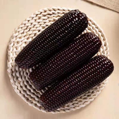 黑甜糯玉米种子黑糯玉米香甜糯玉米种鲜食苞米非转基因杂交黑玉米图4
