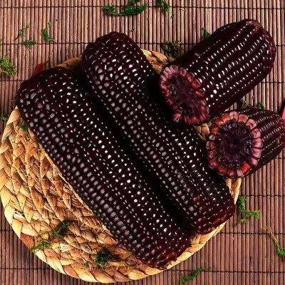 黑甜糯玉米种子黑糯玉米香甜糯玉米种鲜食苞米非转基因杂交黑玉米图2