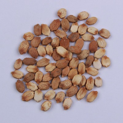 供应长绿苦瓜种子 高产阳台蔬菜种子 味微苦大棚早熟蔬菜种籽图3