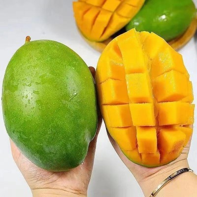 四川攀枝花凯特芒果新鲜水果当季整箱凯特芒特芒果凯特一件代发图3