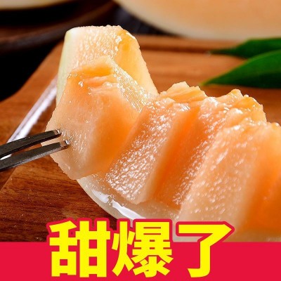 爆甜正宗甘肃民勤黄河蜜瓜红肉甜瓜新鲜当季水果沙漠冰糖哈密瓜图3