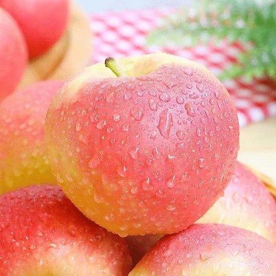 苹果嘎啦脆甜非红富士现摘当季新鲜水果不打蜡整箱美八孕妇水果图4