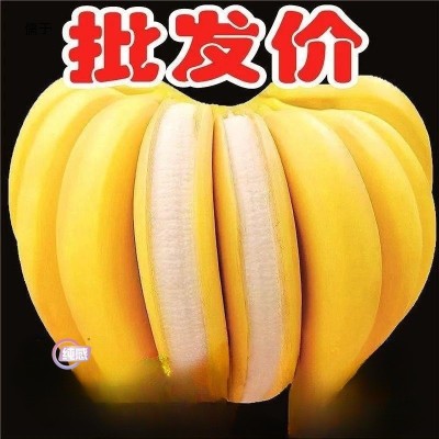 香蕉批发薄皮新鲜整箱当季包邮香蕉新鲜水果图4