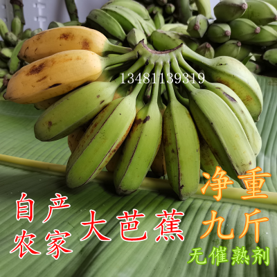 ly广西大芭蕉新鲜香蕉10斤带箱包邮酸甜大芭蕉巴蕉牛蕉非粉蕉小米图4