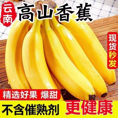 ly云南高山甜香蕉10斤当季新鲜水果大芭蕉小米蕉甜蕉皇帝蕉整箱包图2