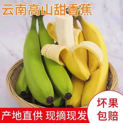 ly云南高山甜香蕉10斤当季新鲜水果大芭蕉小米蕉甜蕉皇帝蕉整箱包图3