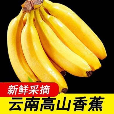 ly云南高山大香蕉10斤新鲜水果当季现摘芭蕉小米蕉甜香蕉整箱自然图4