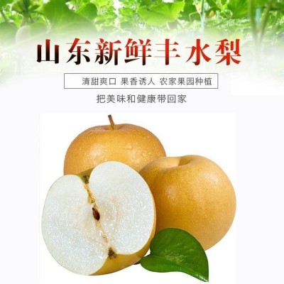 山东丰水梨 脆于秋月梨莱阳新鲜水果产地酥脆梨代发梨子 中秋礼盒图2