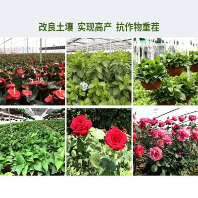 家用鸡粪发酵有机肥 种菜花卉果树羊粪肥料 纯鸡粪有机肥料蔬菜用图4