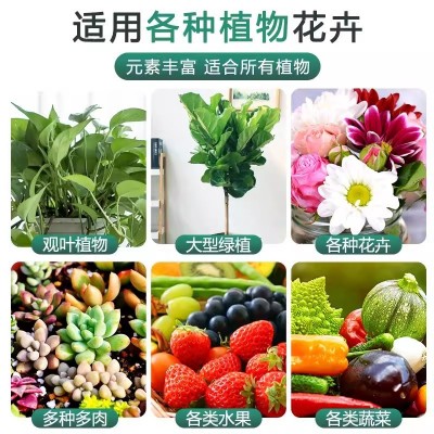 黄金肥通用型控释肥缓释肥观花植物颗粒肥催花绿叶生根壮苗大肥王图4