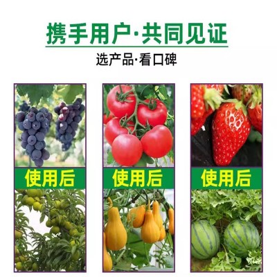 通用型家用农用植物复合肥果树草莓肥料催花保果增产型叶面营养液图4