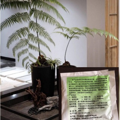 生物有机肥颗粒电商花店 盆栽绿植配用复合肥料花卉实用营养肥图3