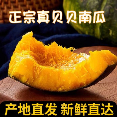 正宗贝贝南瓜板栗味迷你小南瓜粉糯香甜软孕妇宝宝辅食山东老南瓜图4