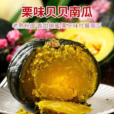 正宗贝贝南瓜板栗味迷你小南瓜粉糯香甜软孕妇宝宝辅食山东老南瓜图2