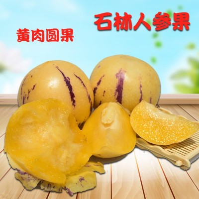 新鲜人参果水果新鲜孕妇水果人生果1斤云南石林黄肉圆果一件代发图4
