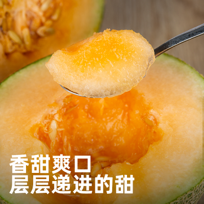 ly新疆哈密瓜新鲜水果应当季网纹吐鲁番西州蜜25号甜瓜整箱10斤包图2
