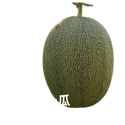 ly新疆哈密瓜新鲜水果应当季网纹吐鲁番西州蜜25号甜瓜整箱10斤包图5