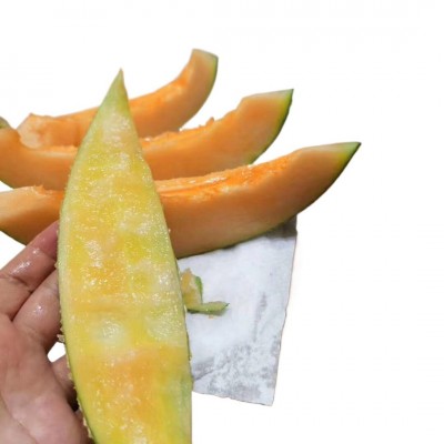 ly新疆哈密瓜吐鲁番西州蜜25号当季新鲜水果整箱10斤包邮图5