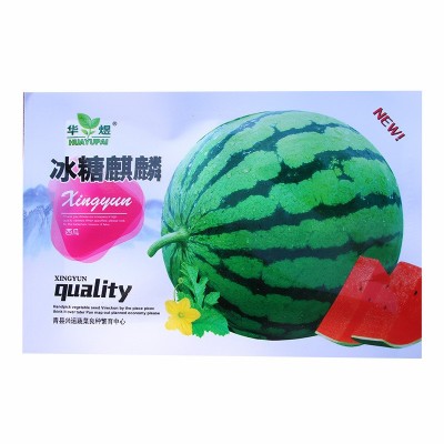 冰糖麒麟西瓜种子 农田菜地早熟皮薄不易裂瓜耐运输脆甜沙西瓜籽图4