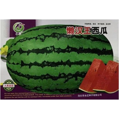 甜脆懒汉瓜王西瓜种子 农田菜地农户种植杂交含糖量高大果西瓜籽图5