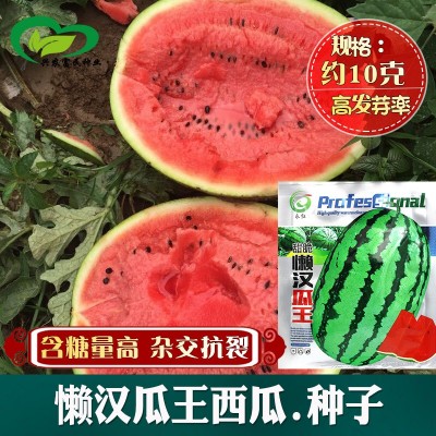 甜脆懒汉瓜王西瓜种子 农田菜地农户种植杂交含糖量高大果西瓜籽图3