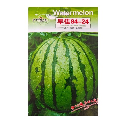 早佳8424西瓜种子 农田菜园早熟杂交甜脆圆西瓜种子 水果西瓜种子图5