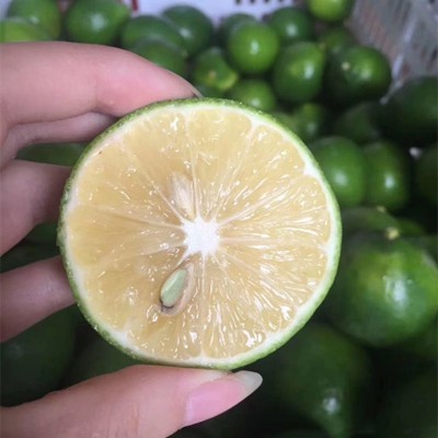 【重庆香水青柠檬】当季新鲜水果香味浓郁10斤非安岳黄柠檬代发图2