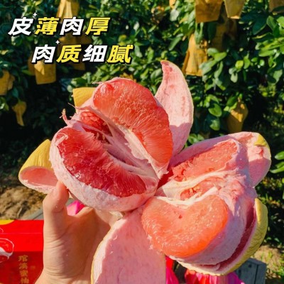 【平和琯溪蜜柚 三红蜜柚】老树柚子果大皮薄9斤彩箱新鲜水果代发图3