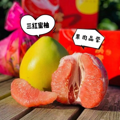 【平和琯溪蜜柚 三红蜜柚】老树柚子果大皮薄9斤彩箱新鲜水果代发图4