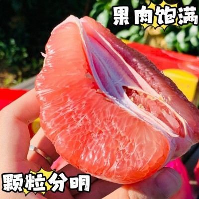 福建平和琯溪蜜柚红心蜜柚红心柚子三红柚三红蜜柚应季水果批发图3