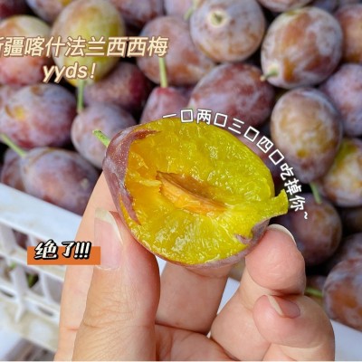 【顺丰快递】新疆喀什法兰西西梅礼盒3.5斤 新鲜水果图2