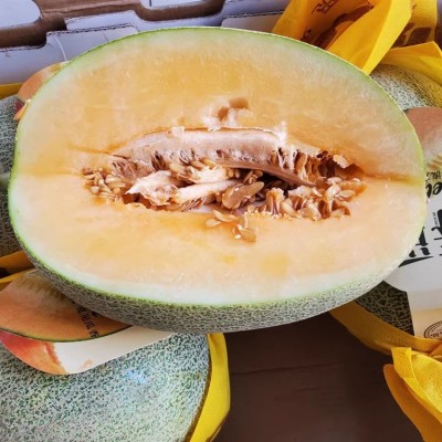ny新鲜水果新疆哈密瓜吐鲁番西州蜜25号蜜瓜晓蜜蜜瓜4颗装16斤脆图2