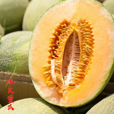 新疆吐鲁番西州蜜25号密瓜 脆甜多汁 新疆哈密瓜图2
