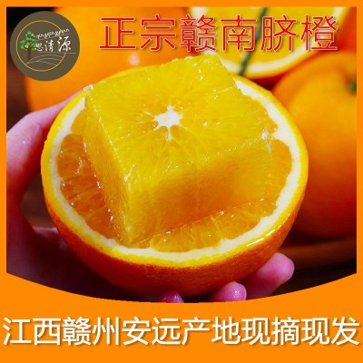 产地直发 赣南脐橙批发现发早果鲜甜多汁一件代发正宗赣南脐橙图2