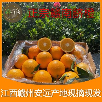 产地直发 赣南脐橙批发现发早果鲜甜多汁一件代发正宗赣南脐橙图3