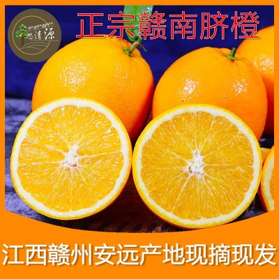 产地直发 赣南脐橙批发现发早果鲜甜多汁一件代发正宗赣南脐橙图4