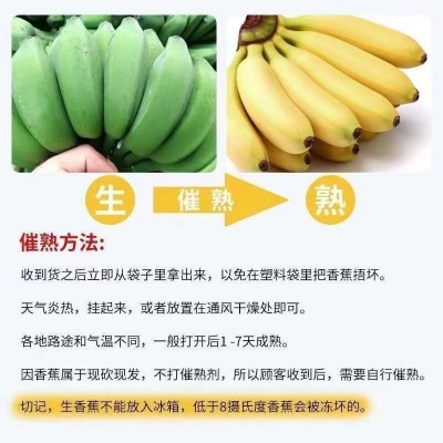 kc正宗广西小米蕉香蕉10斤新鲜水果整箱当季鲜苹果蕉自然熟粉蕉包图4