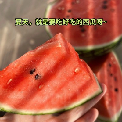 kc六吨 正宗8424西瓜 一藤一瓜 5年养地 新鲜当季夏季水果图4