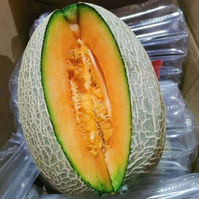 海南水果新鲜哈密瓜当季现摘脆甜瓜网纹瓜西州蜜香瓜工厂一件批发图4