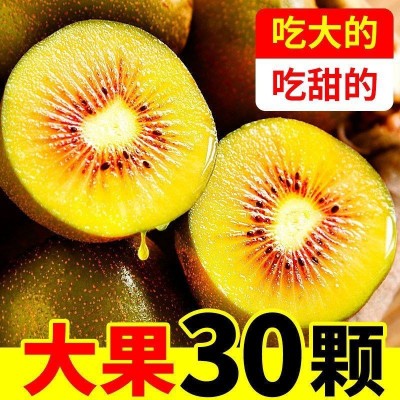 现摘红心猕猴桃四川蒲江猕猴桃水果批发新鲜奇异果应季弥核厂批发图2