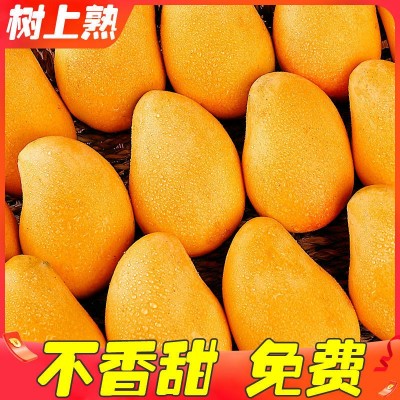 芒果批发树上熟小台芒海南三亚新鲜应季热带水果整箱现摘跨境电商图2