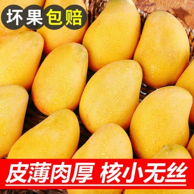 芒果批发树上熟小台芒海南三亚新鲜应季热带水果整箱现摘跨境电商图3
