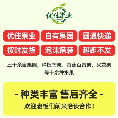 广西新鲜水果小米蕉现摘现发小香蕉应季水果香蕉整箱9斤包邮批发图2