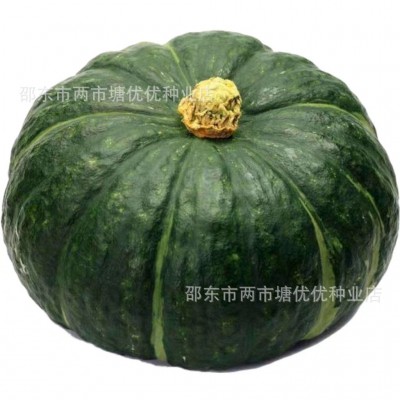 贝贝南瓜种子四季丰产香甜糯板栗味绿贝贝小南瓜种子蔬菜种子菜籽图5
