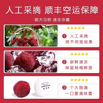 新果上市_闽臻冰杨梅特大果漳州京德福新鲜杨梅冰球冰镇冷冻杨梅图4